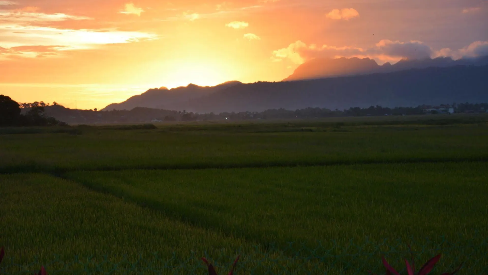 Sunset Valley Langkawi 2*,